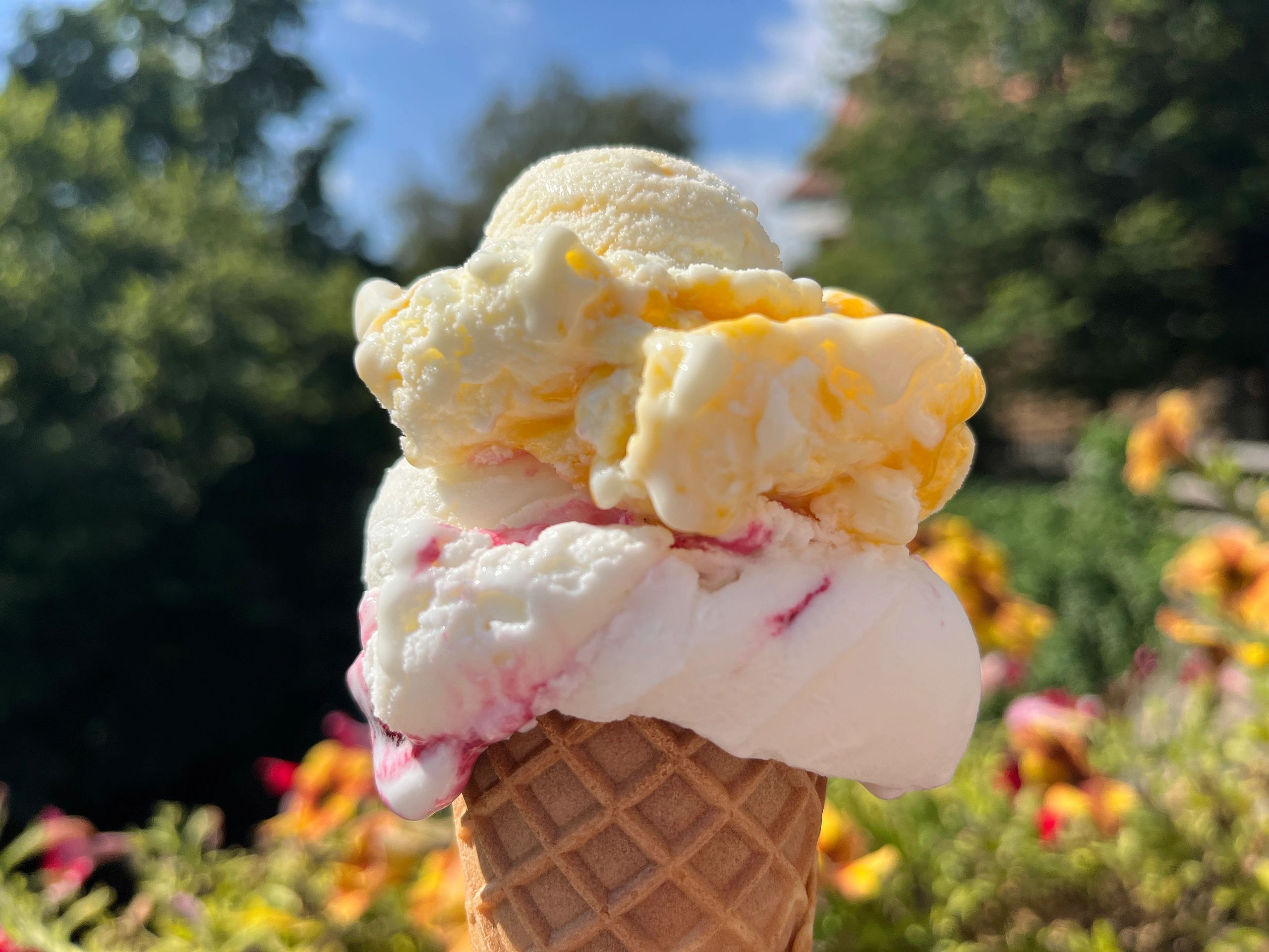 Italian gelato in a waffle cone